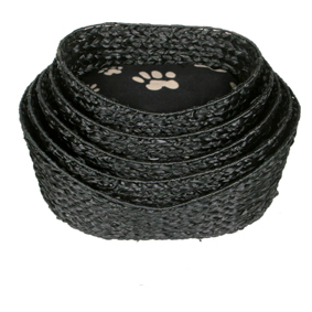 HX508098