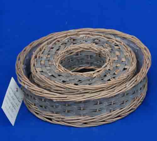 Probasket 7