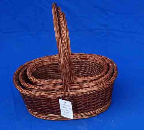 Probasket 11