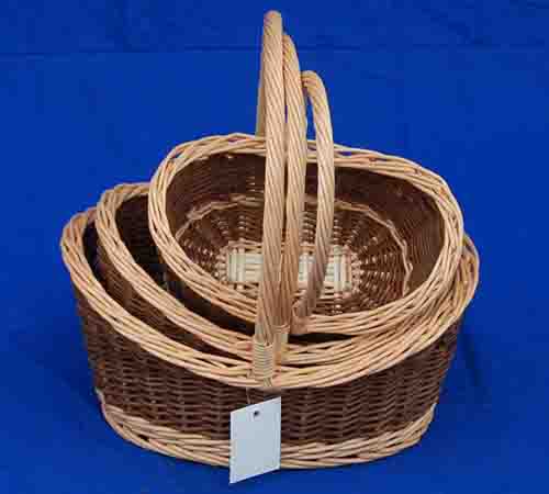 Probasket  24