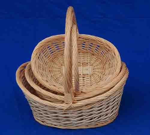 Probasket 25
