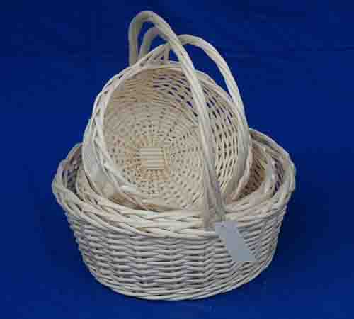 Probasket  29