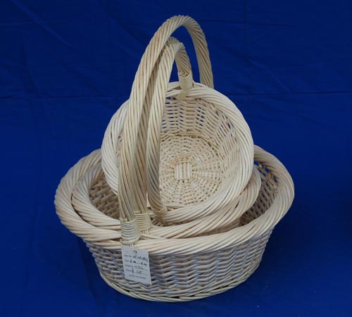 Probasket  31