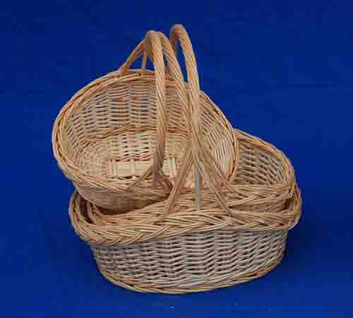 Probasket  33