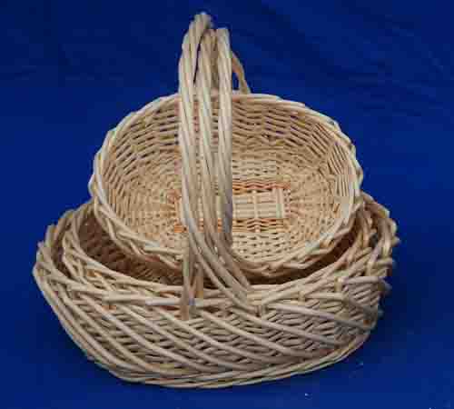 Probasket  36