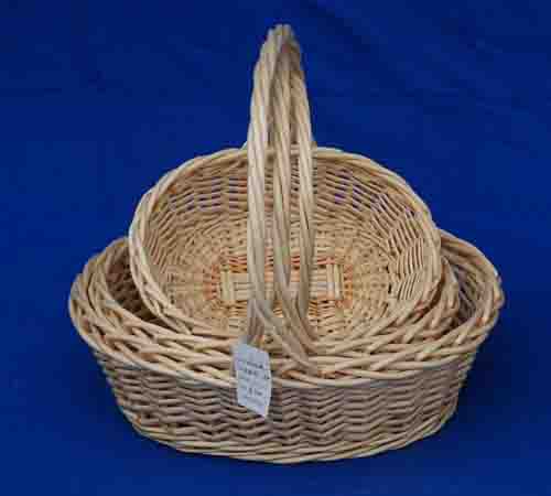 Probasket  39