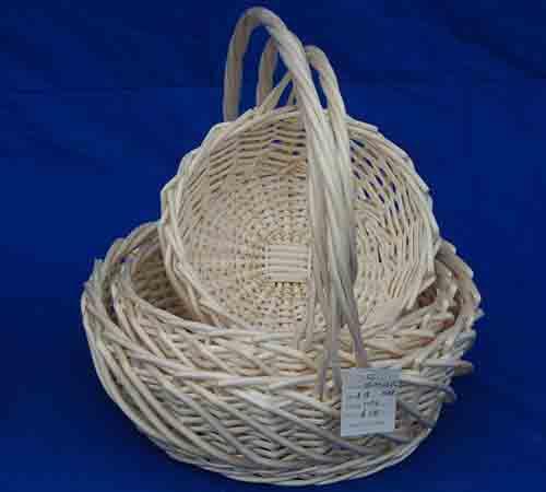 Probasket  41