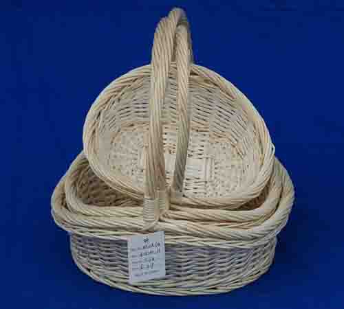 Probasket  42