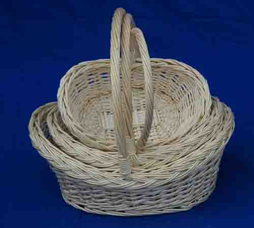 Probasket  50