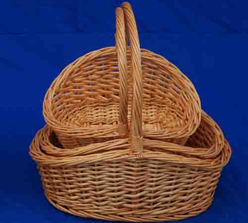 Probasket  51