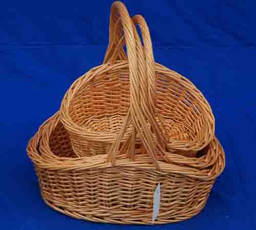 Probasket  53