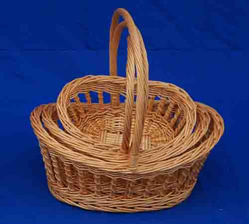 Probasket  48