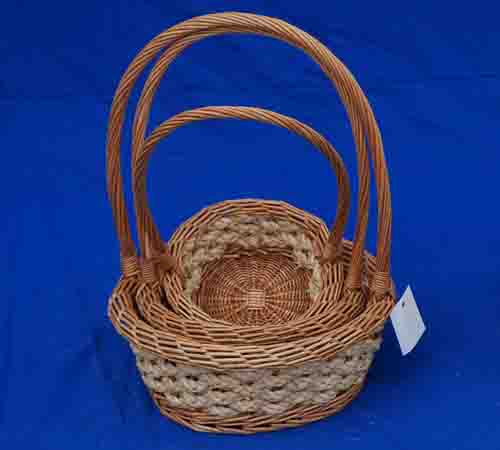 Probasket 54