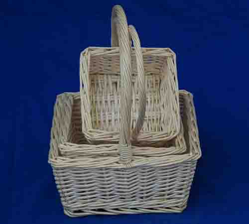 Probasket  56