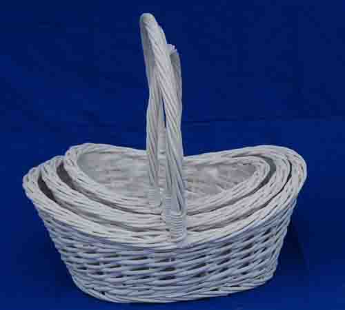 Probasket  61