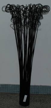 Willow twig 6