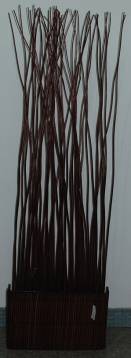 Willow twig 9