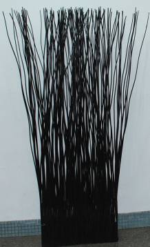 Willow twig 11