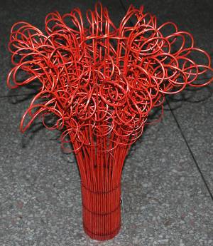 Willow twig 13